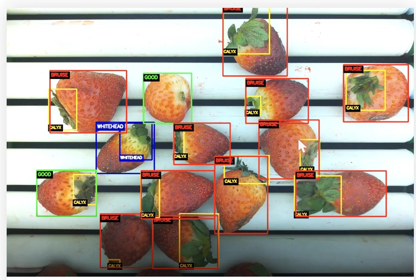 AI-based technology developed to detect defects in strawberries