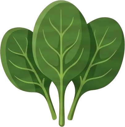 Baby spinach