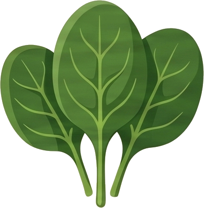 Baby spinach