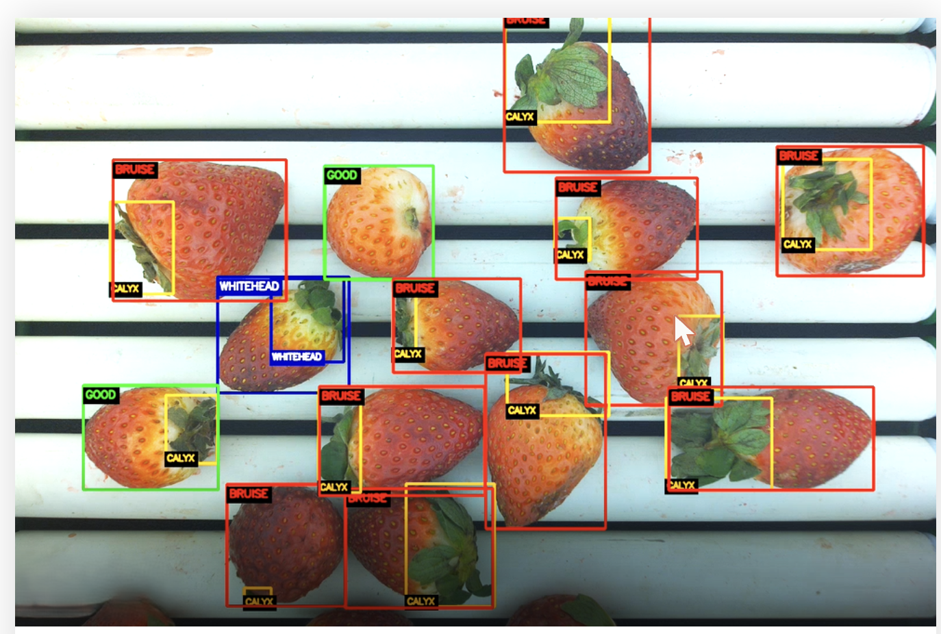 AI-based technology developed to detect defects in strawberries