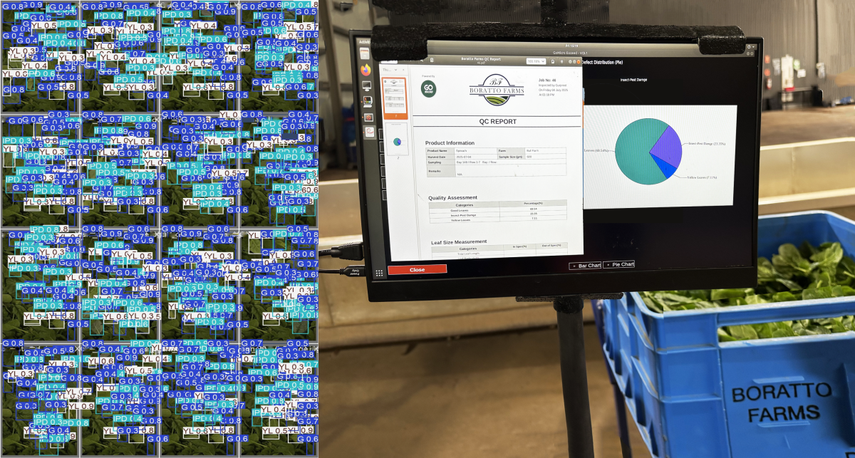 GoMicro and Boratto Farms lead the way in AI-powered green leaf quality assessment