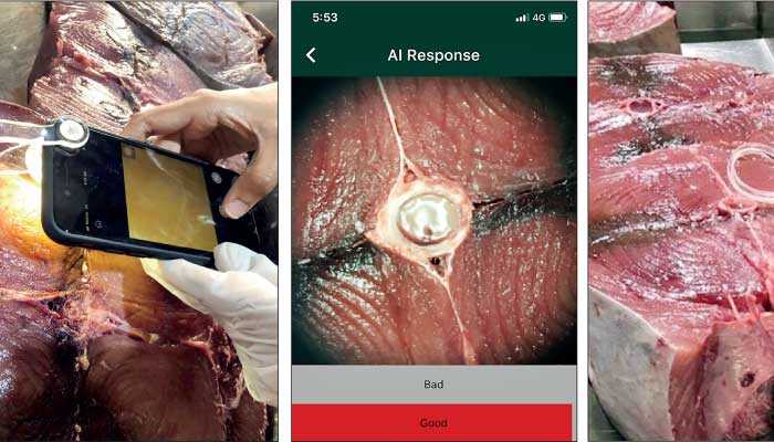 GoMicro seals commercial contract with Keells Supermarkets to assess tuna quality with AI