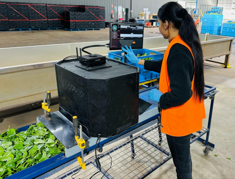 GoMicro and Boratto Farms launch AI-in-a-Box for leafy green quality control