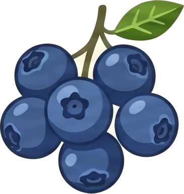Blueberry