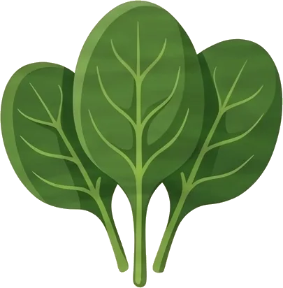 Baby spinach