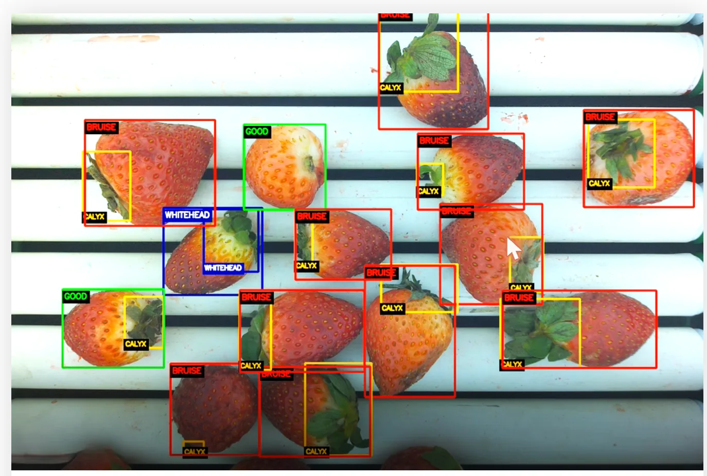 AI-based technology developed to detect defects in strawberries