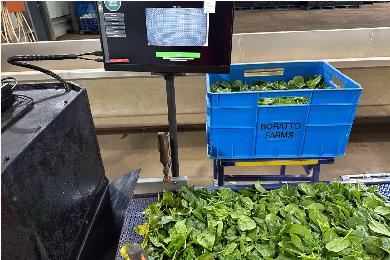 AI removing the subjectivity tax on the supply chain